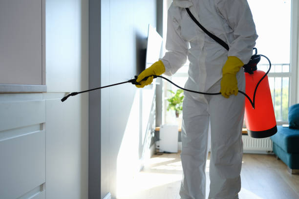 Best Mold Cleaning Services  in Minco, OK