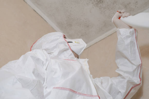 Mold Removal and Inspection in Minco, OK
